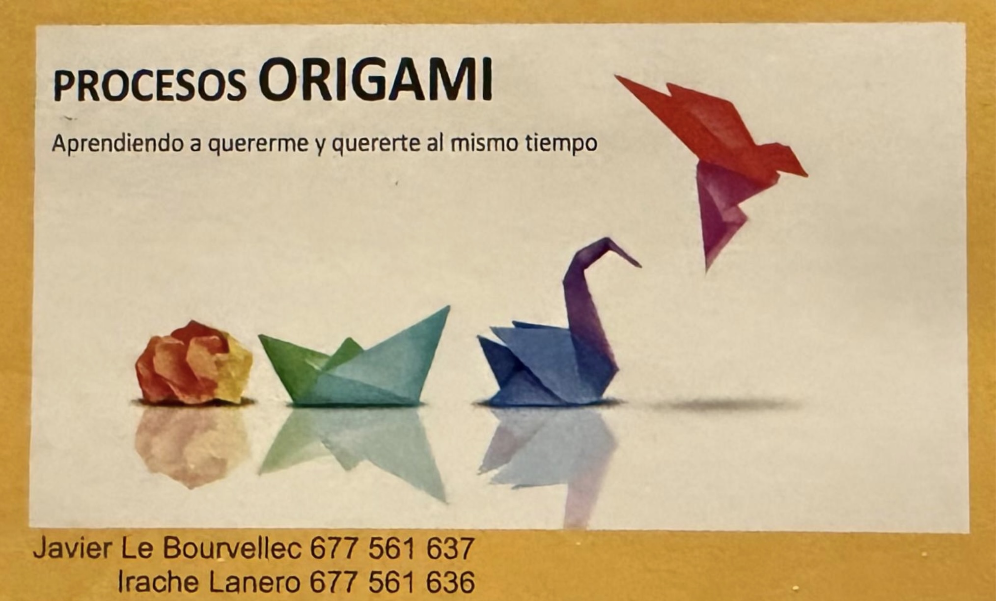 Cómo el Proceso Origami Transforma Personas y Organizaciones